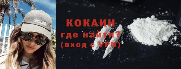 ПСИЛОЦИБИНОВЫЕ ГРИБЫ Гусев
