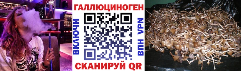 хочу наркоту  мега ссылки  Псилоцибиновые грибы Magic Shrooms  Анадырь 